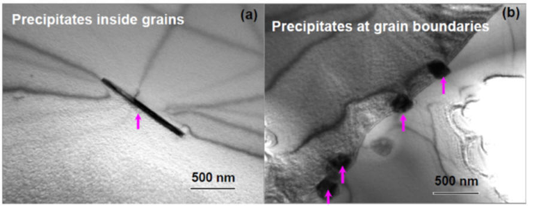 TEM bright field images of intragranular (a) and intergranular (b) precipitates.