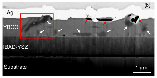  Cross-sectional SEM image shows ∼20 vol% of non-superconducting Ba–Cu–O amorphous phase indicated with white arrows. The red rectangle highlights the region where the amorphous phase spans up to half the film thickness. Material degradation can be seen near the top surface of the YBCO, as indicated by red arrows