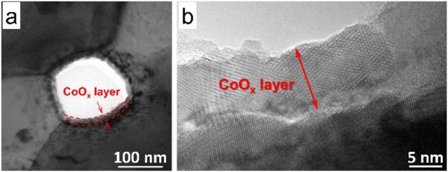 TEM images show the conformal coating of the as-deposited CoOx layer on the internal surface LSM/YSZ cathode. a, LSM/YSZ backbone surface is covered with a uniform coating layer. b, The 10 nm as-deposited state of CoOx is crystallized with the plate-shaped nano-grains of ∼15 nm elongated along the backbone surface