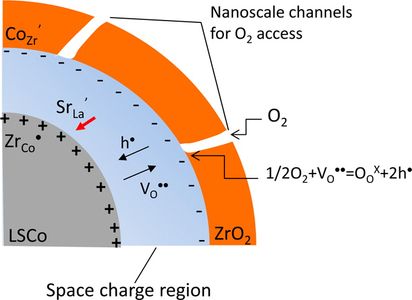 Schematic showing the multifunctionality of gas transport, mixed conductivity, confinement of nanoparticles and suppression of Sr-segregation presented by the nanoscale ZrO2 overcoated on the surface of nanostructured LSCo cathode. SrLa′ is a point defect created by substituting La with Sr while ZrCo• is a point defect created by substituting Co with Zr in LSCo and CoZr′ is a point defect created by substituting Zr with Co in ZrO2.